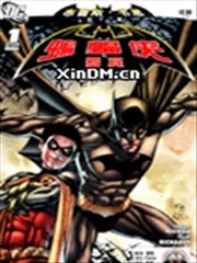 布鲁斯.韦恩归途