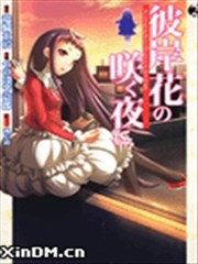 彼岸花盛开之夜 心灵照相机