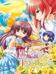 车轮之国-向日葵的少女