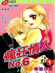 疯狂情人NO.6