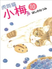 虎斑猫小梅