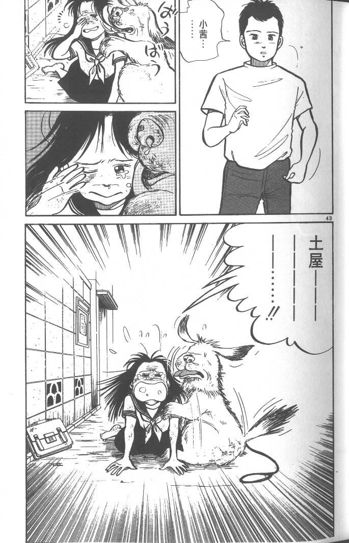 第41页