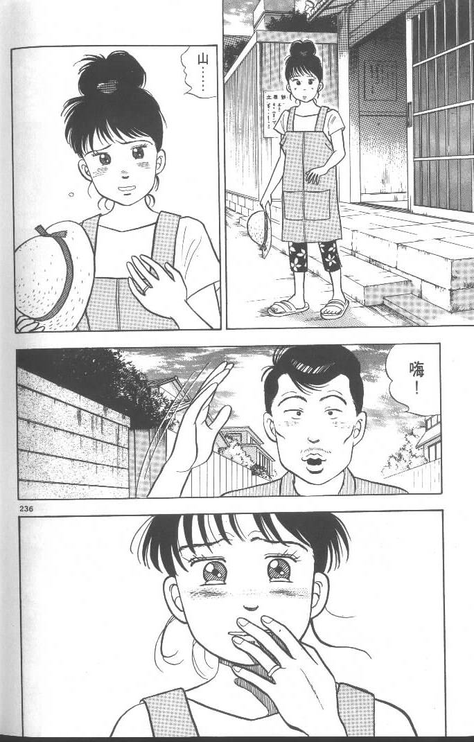 第234页