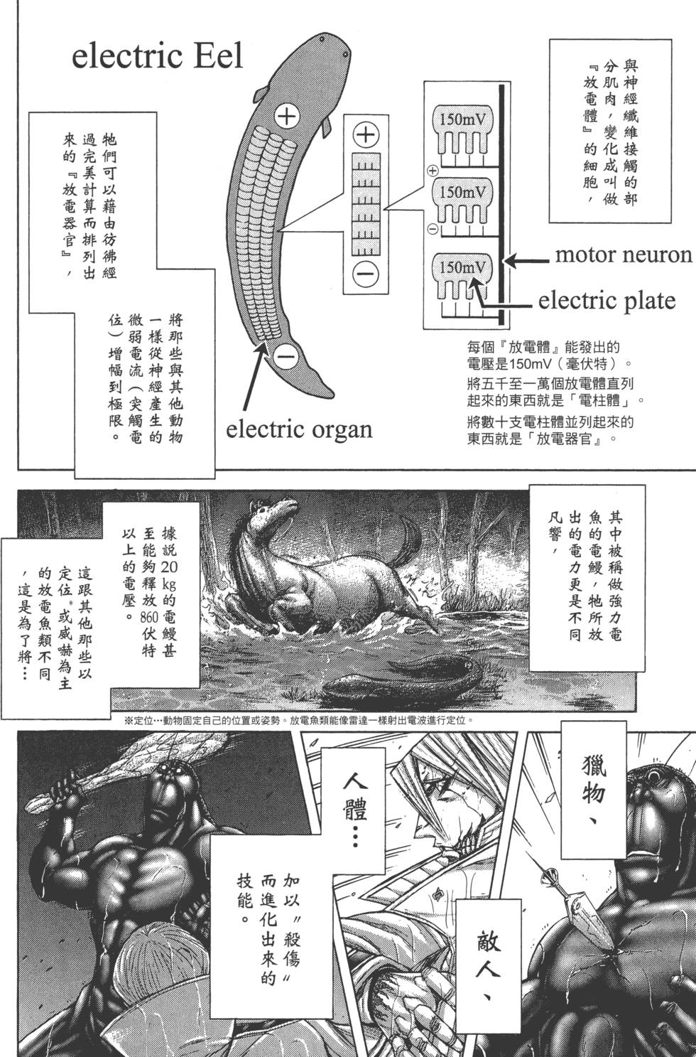第190页