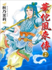 华佗风来传