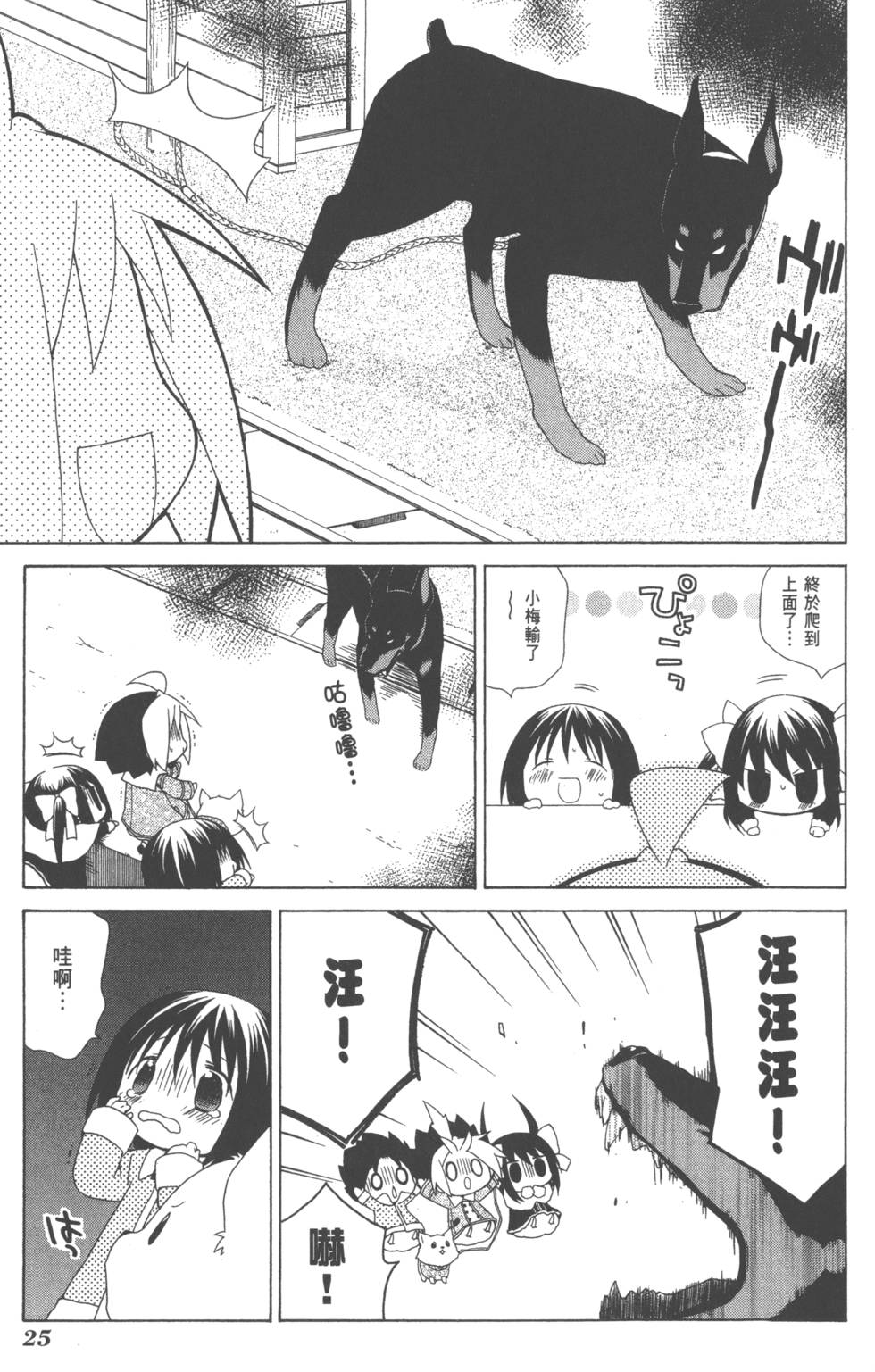 第25页