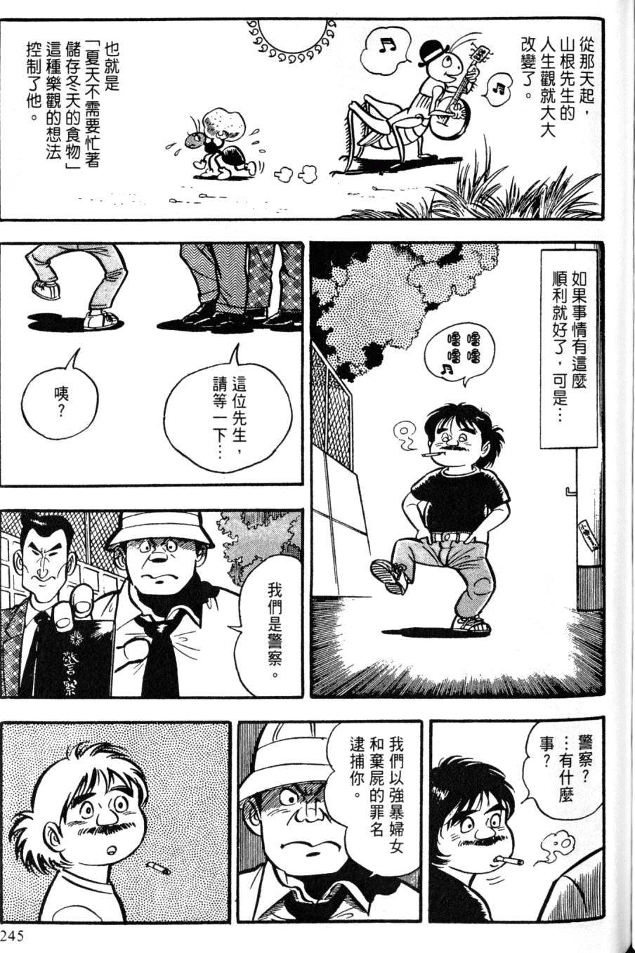 第243页