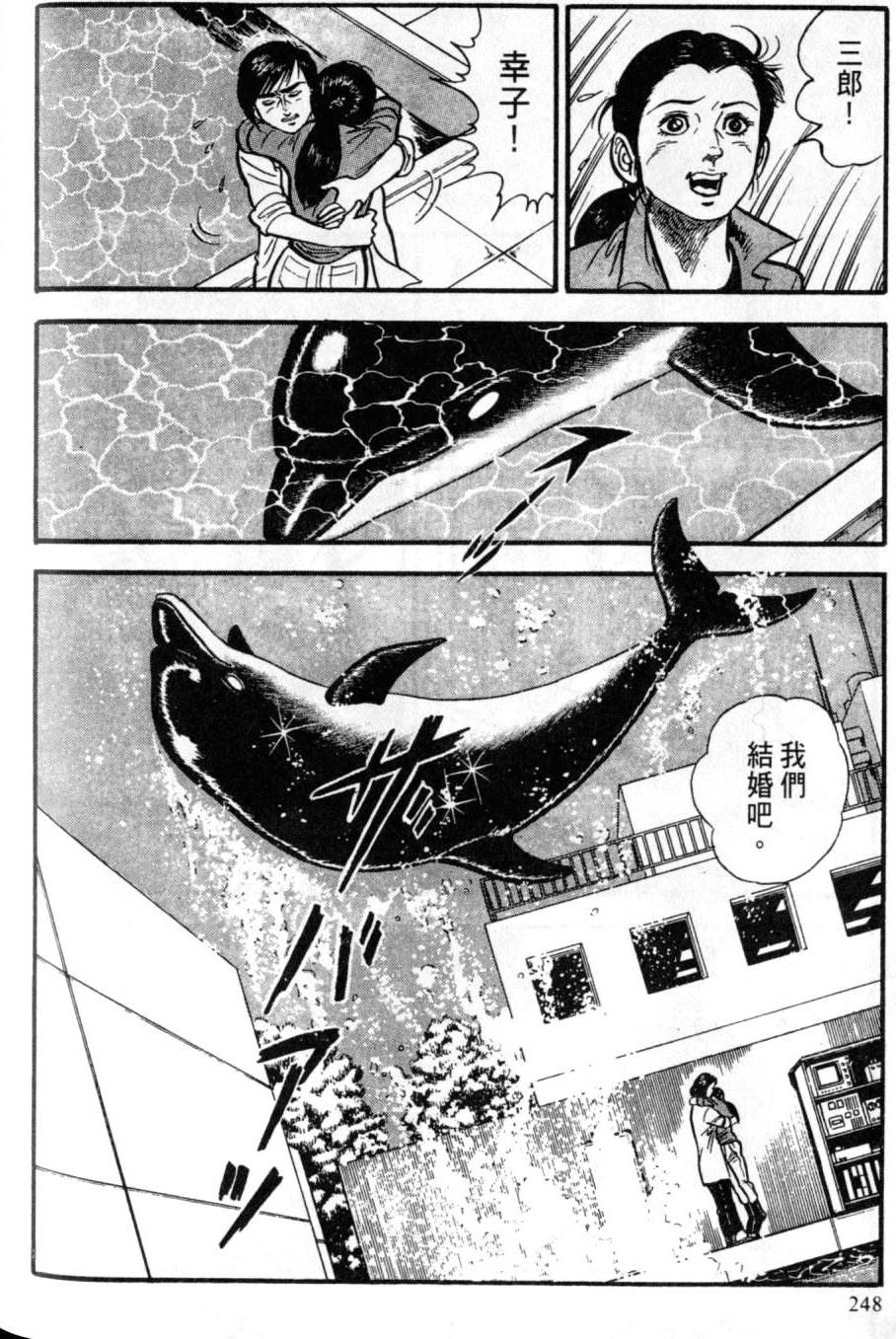 第242页