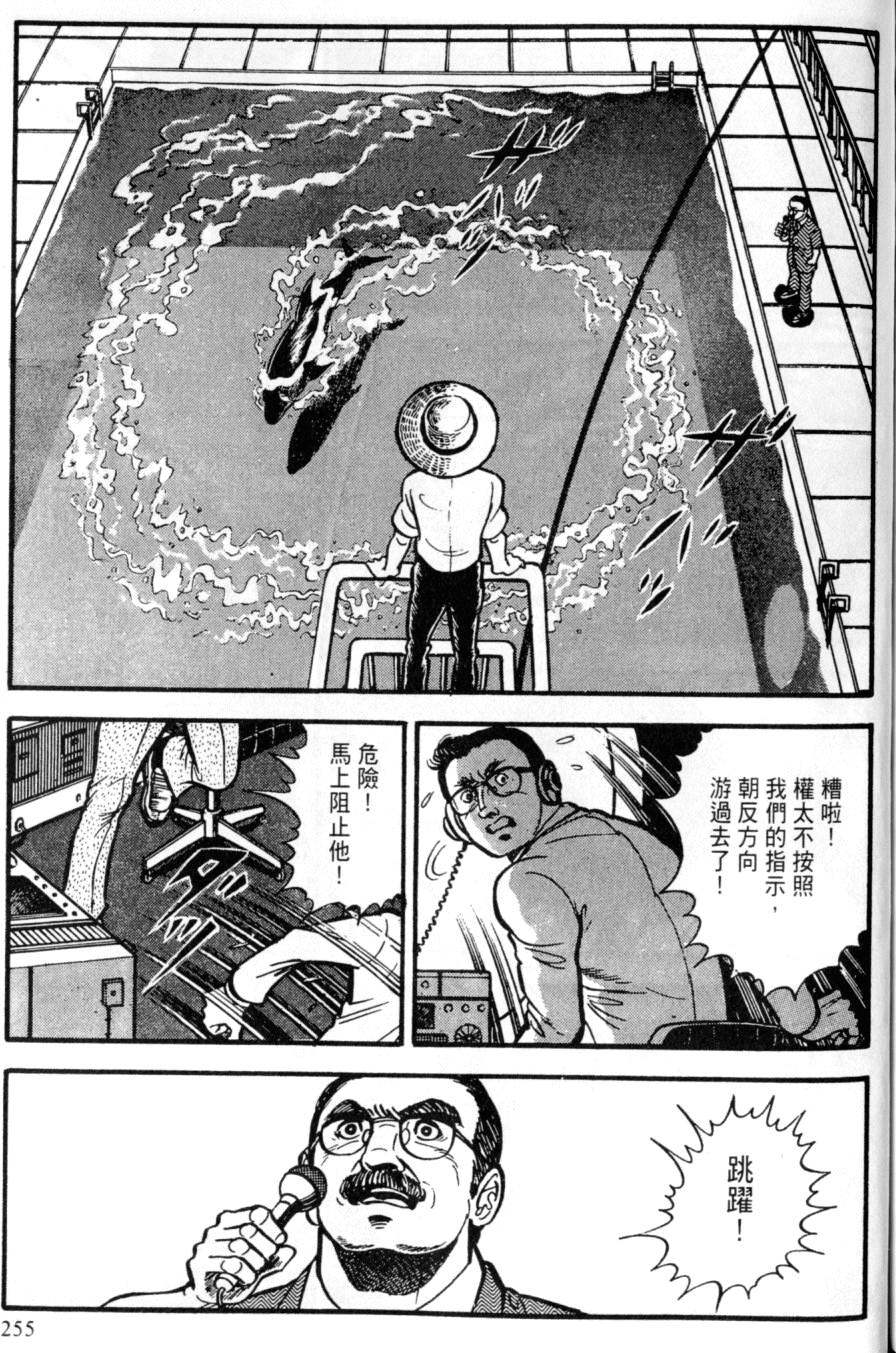第249页