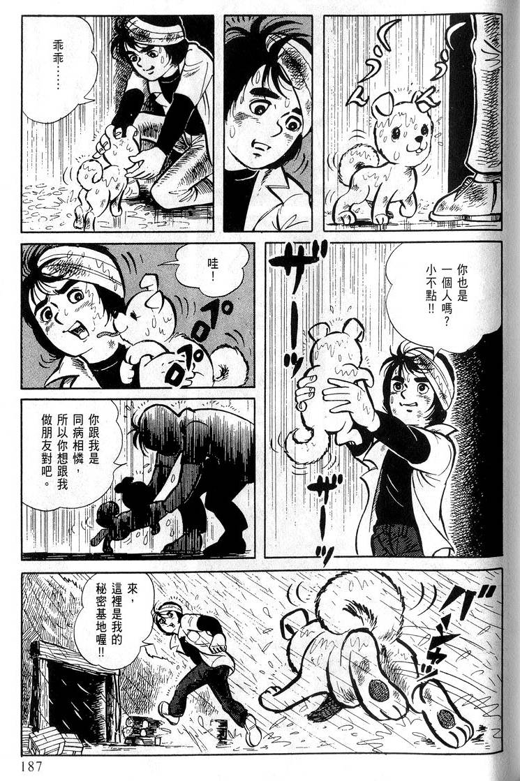 第185页