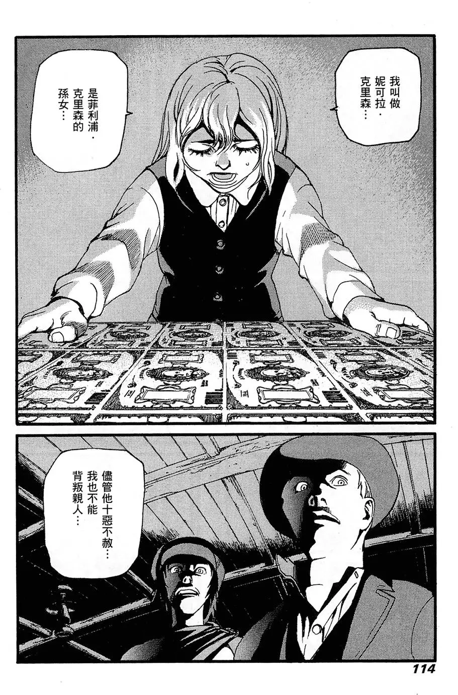 第113页