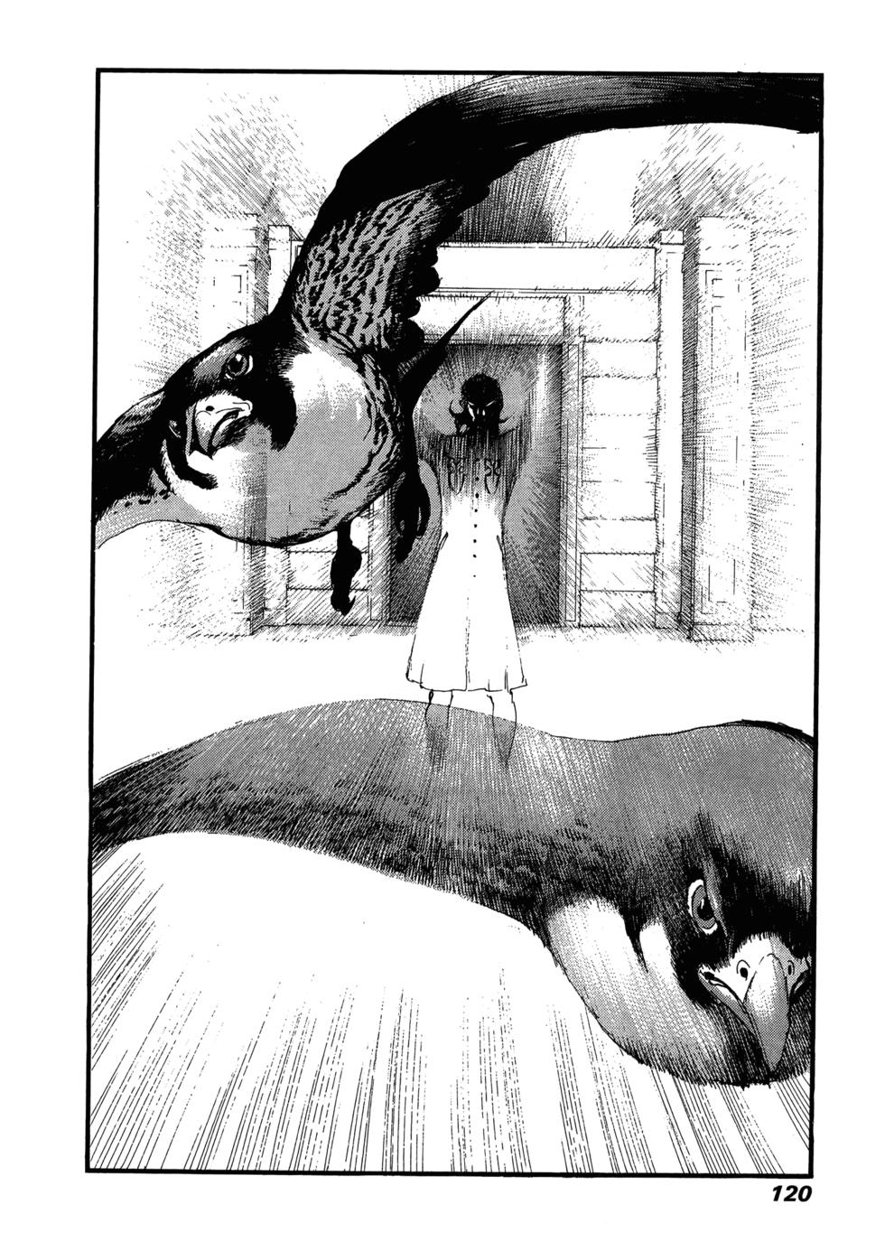 第116页