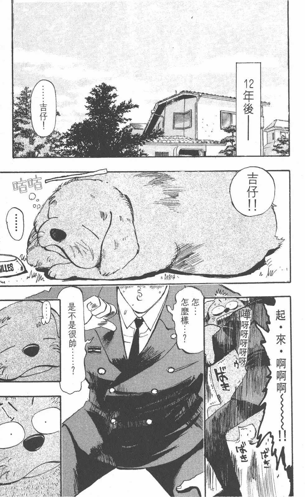 第11页
