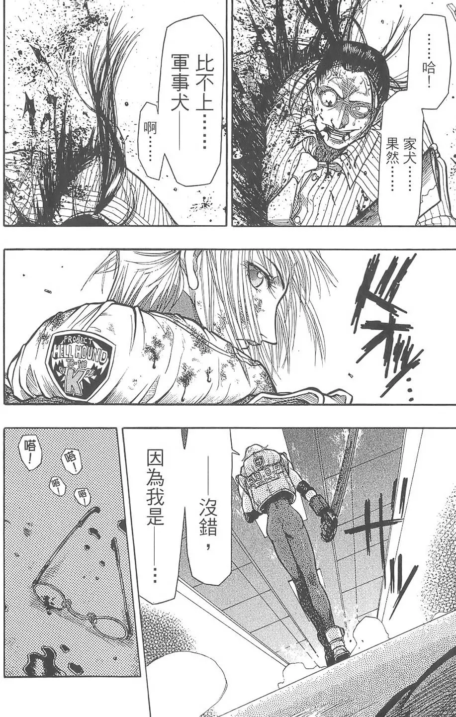 第43页
