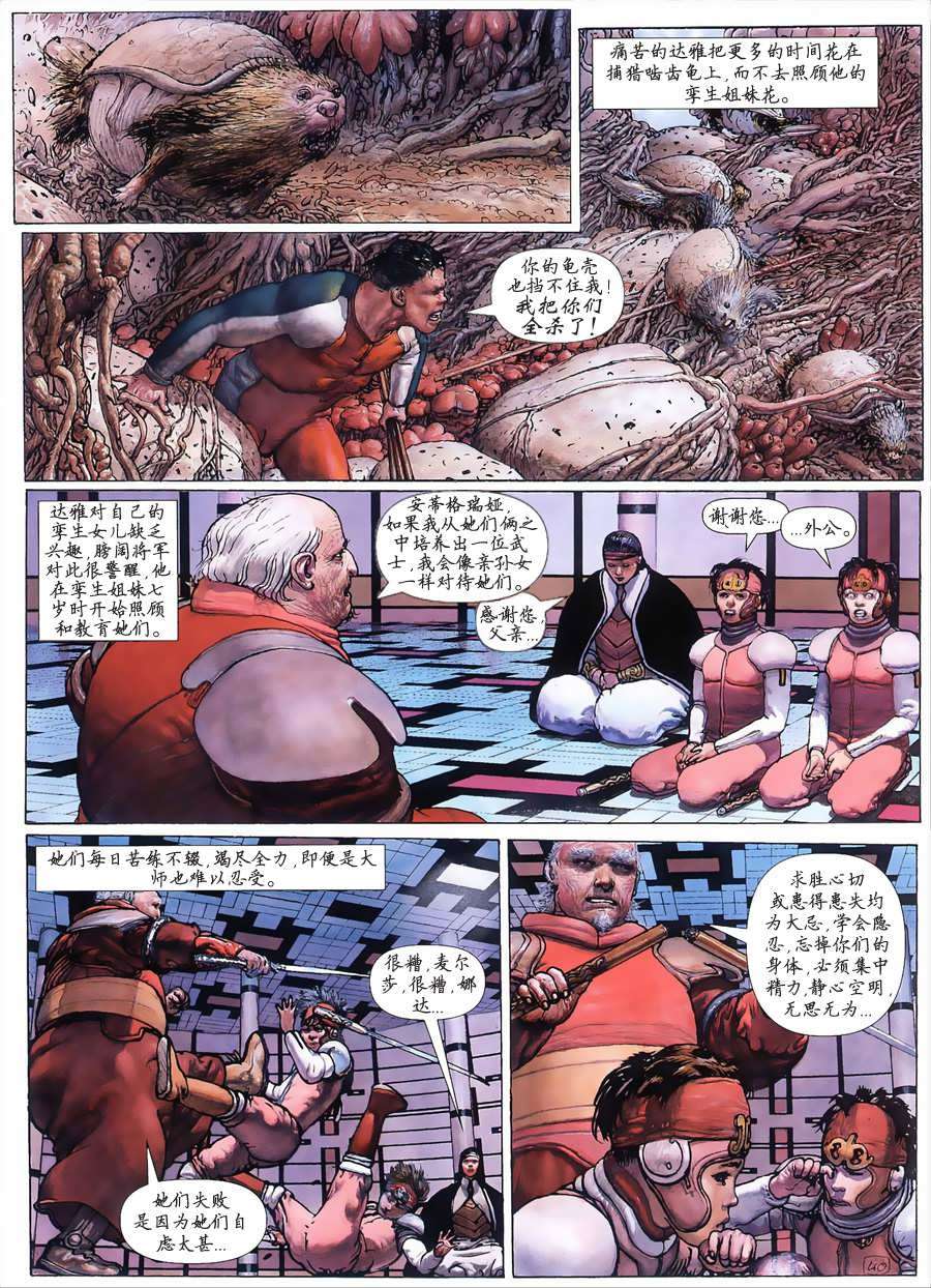 第41页
