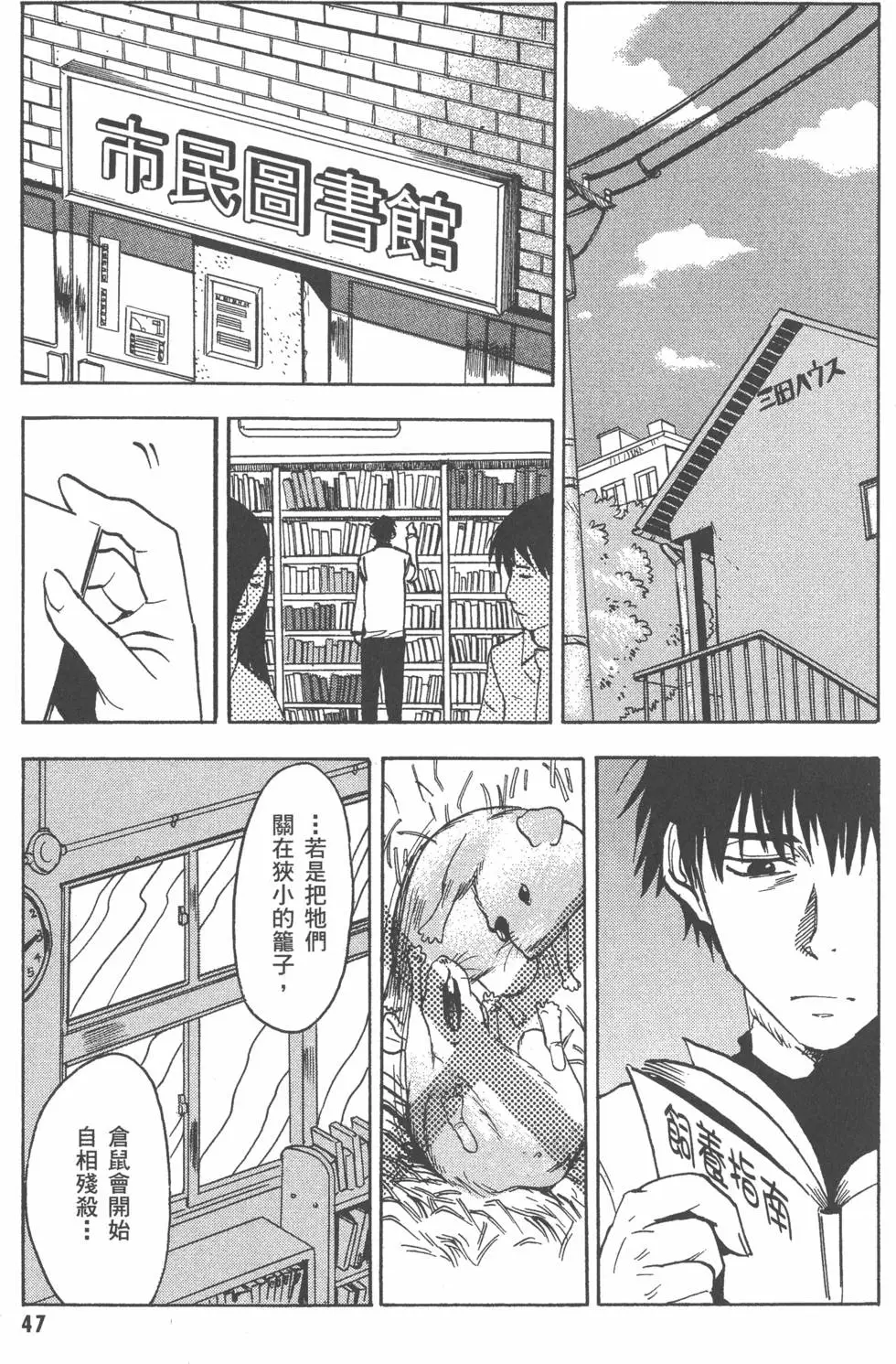 第47页
