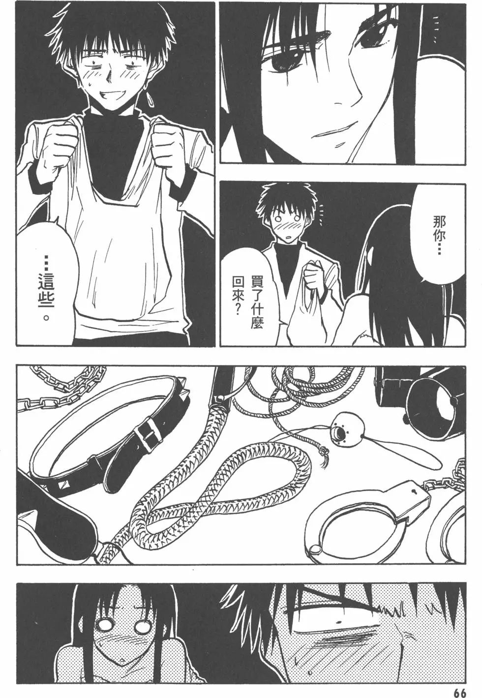 第66页