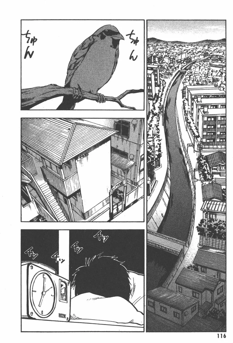 第117页