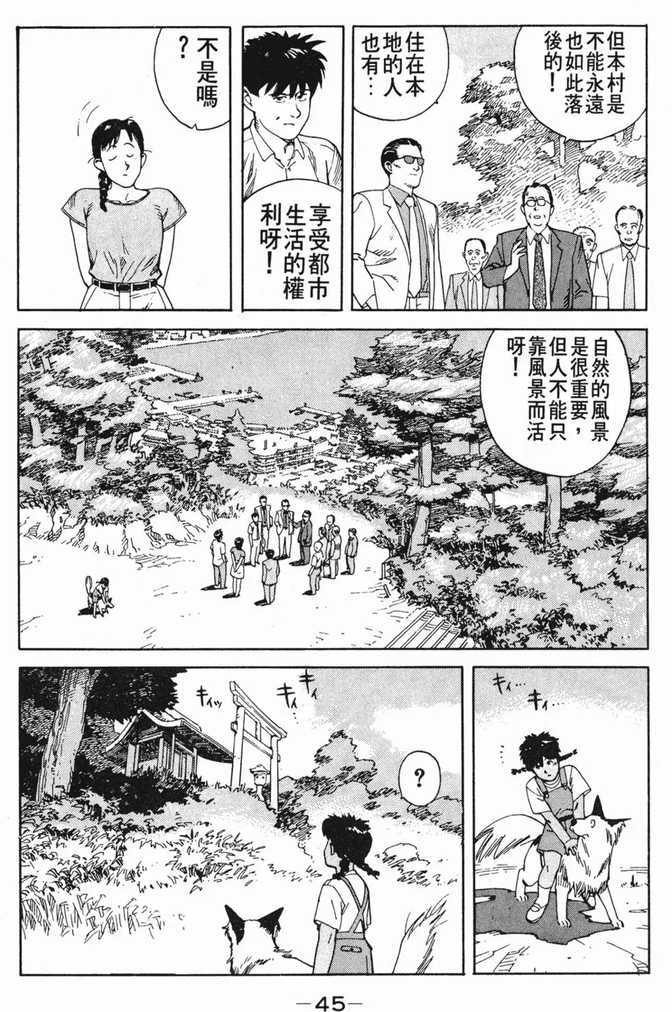 第41页