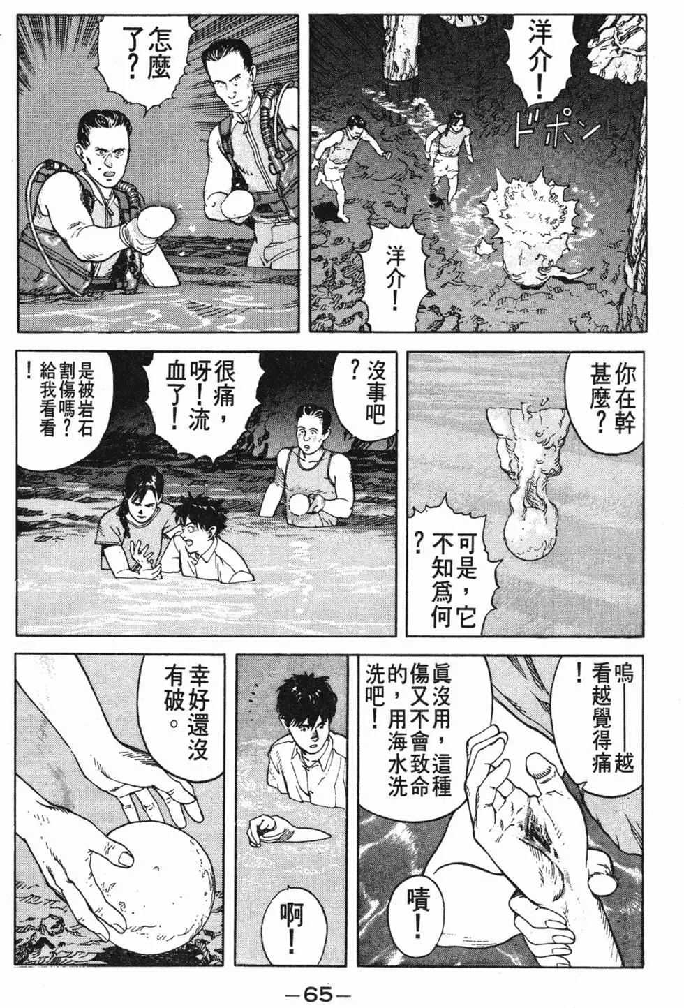 第61页