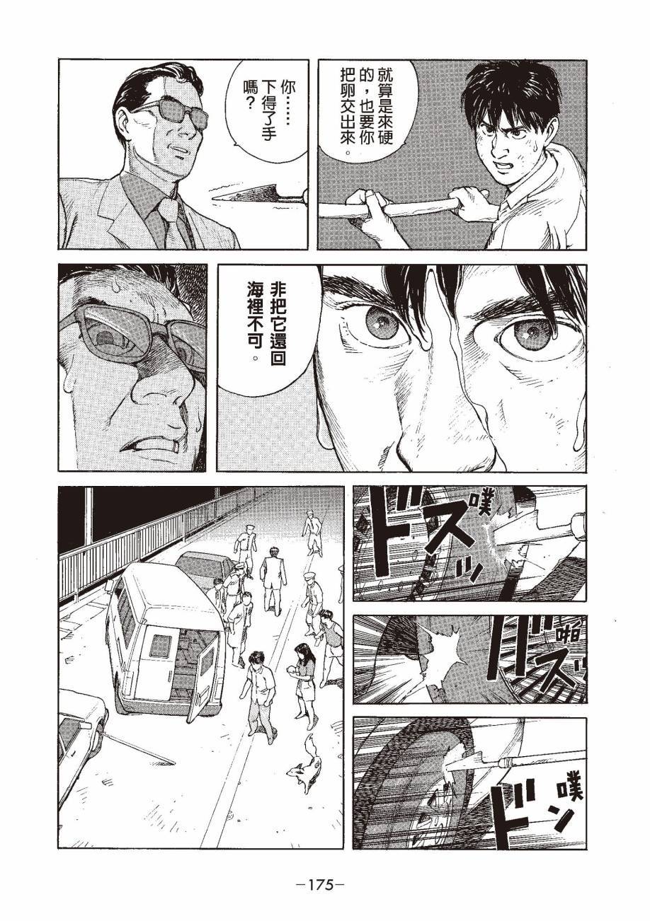 第175页