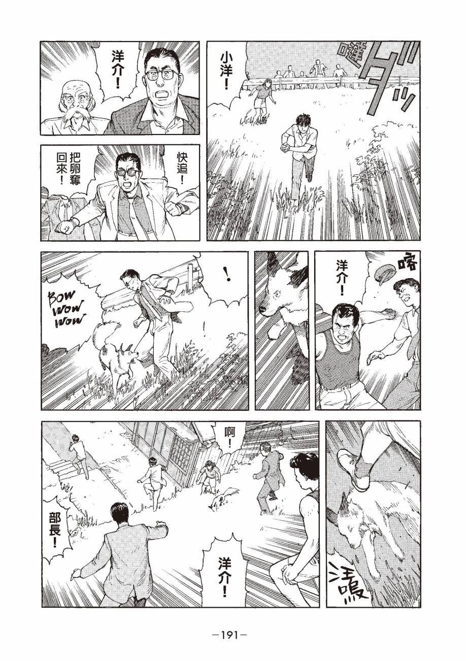 第191页