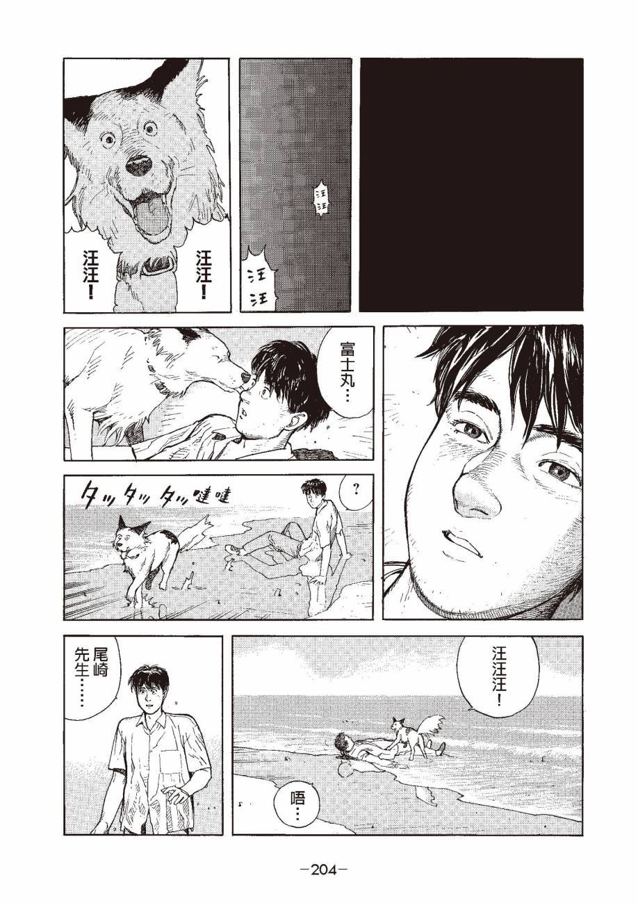 第204页