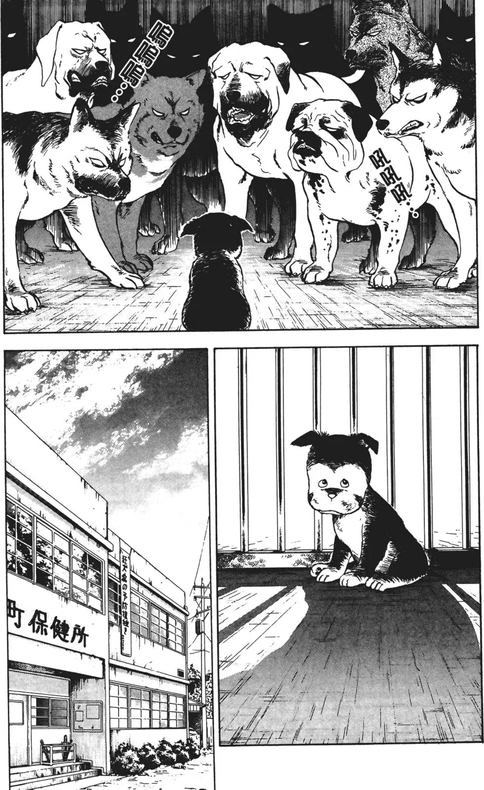第102页