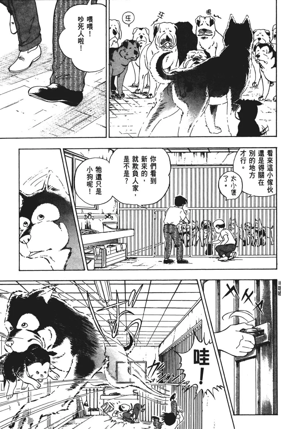 第111页