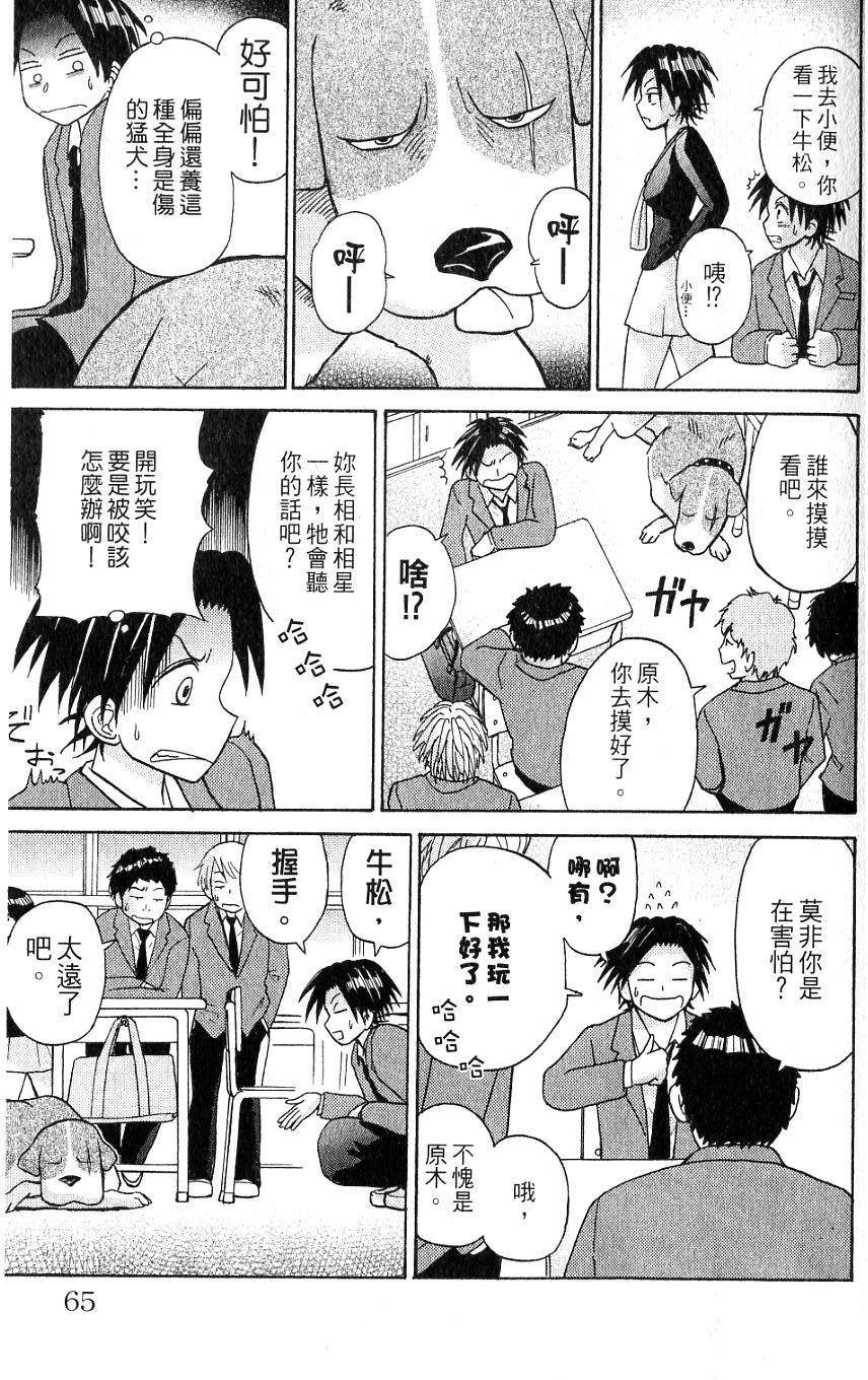第61页