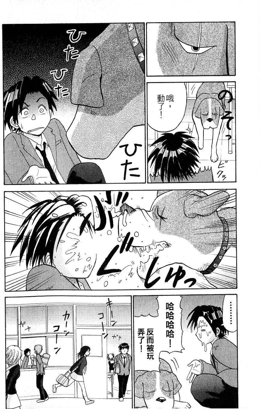 第62页