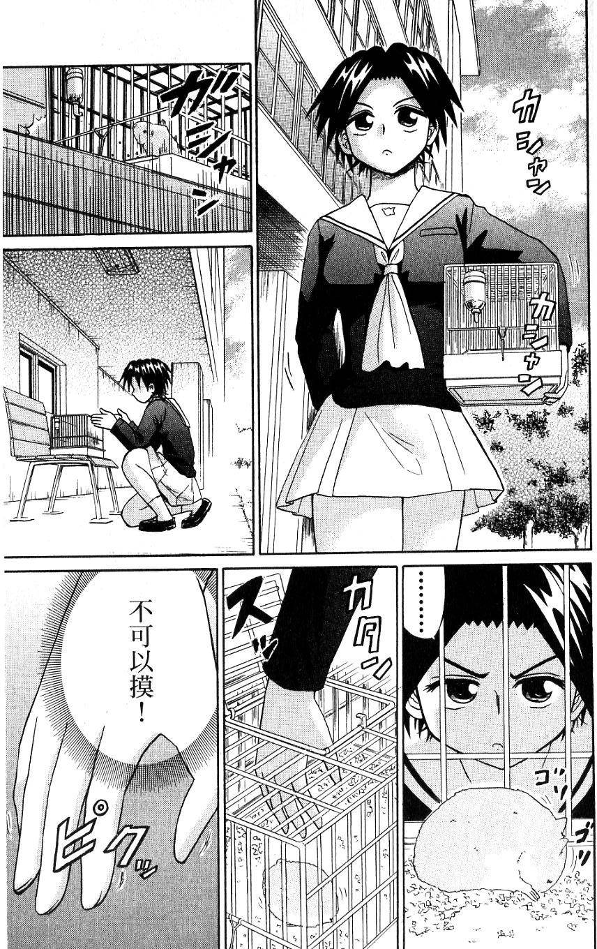 第113页