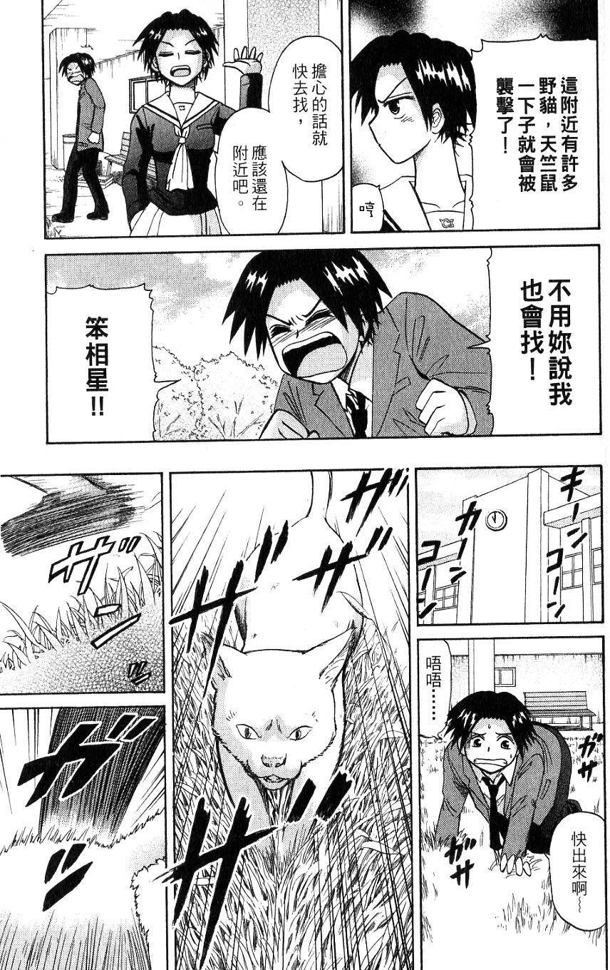 第117页