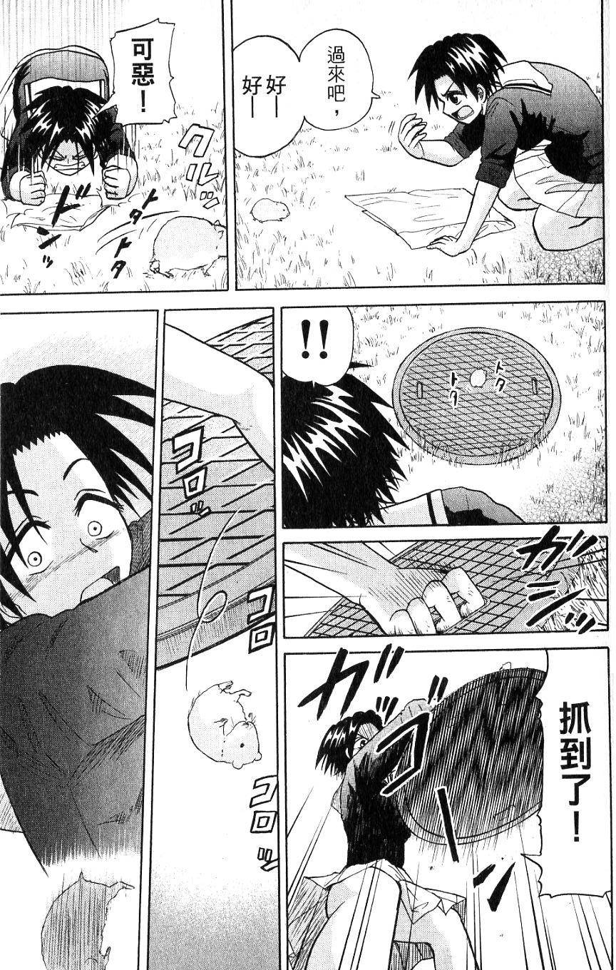 第121页