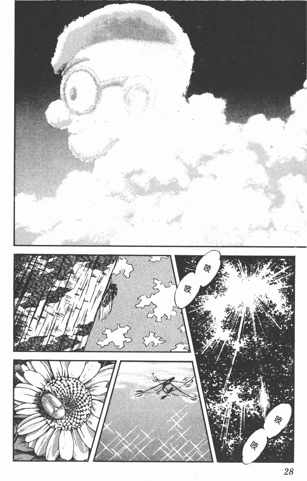 第24页