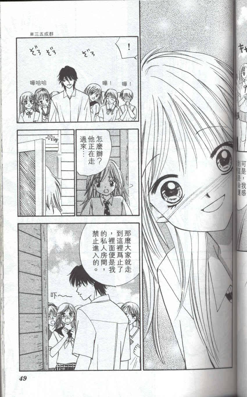 第48页