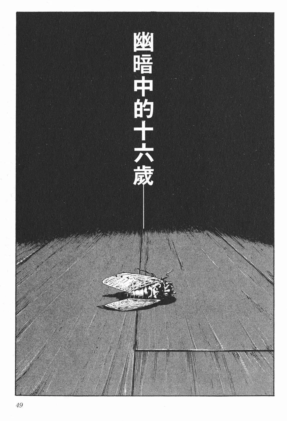 第45页
