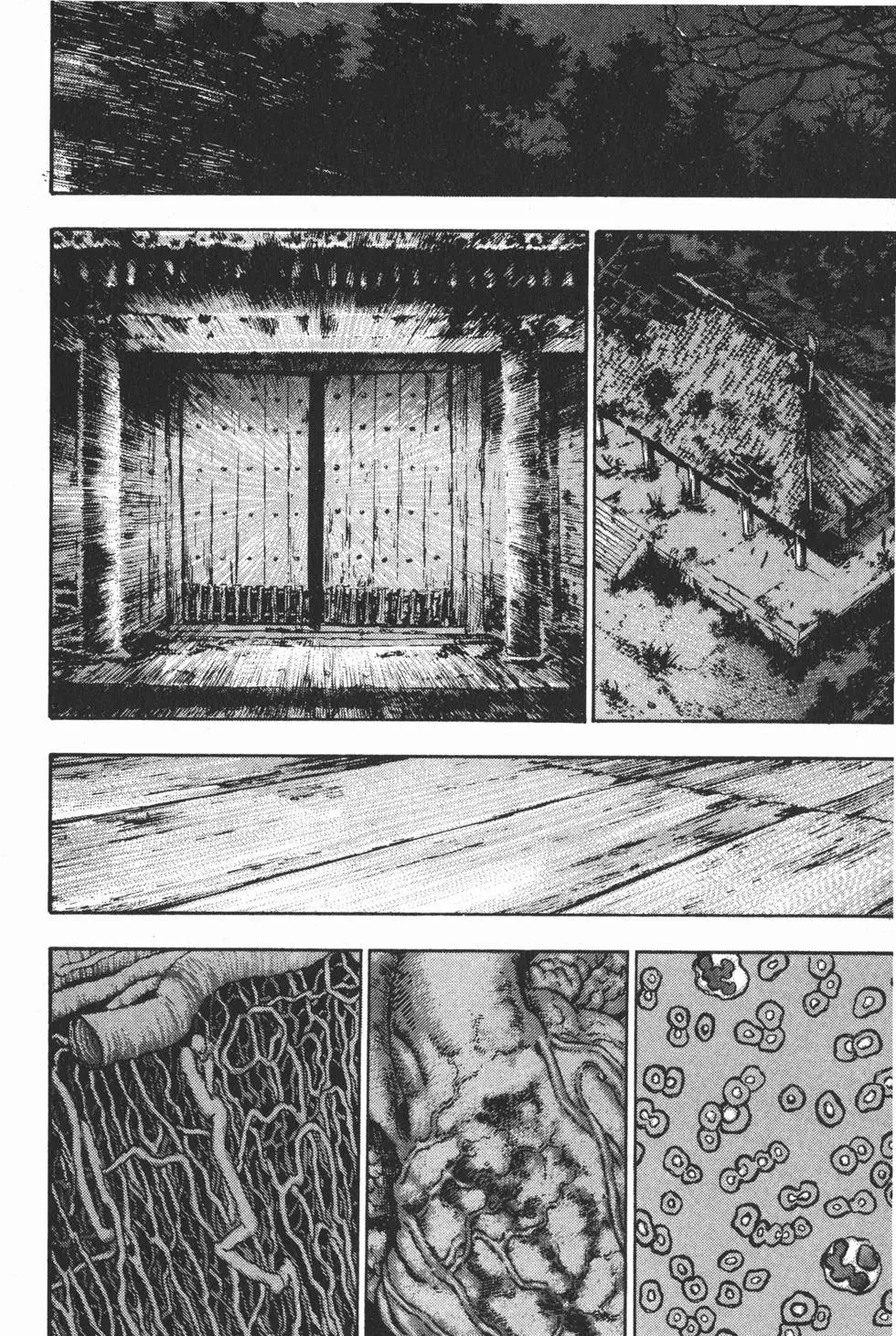 第196页