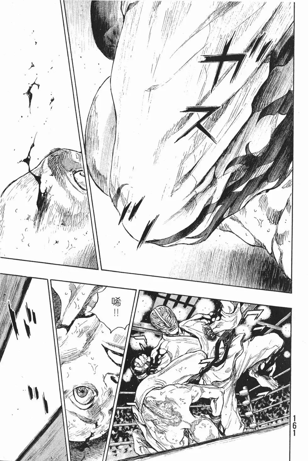 第161页