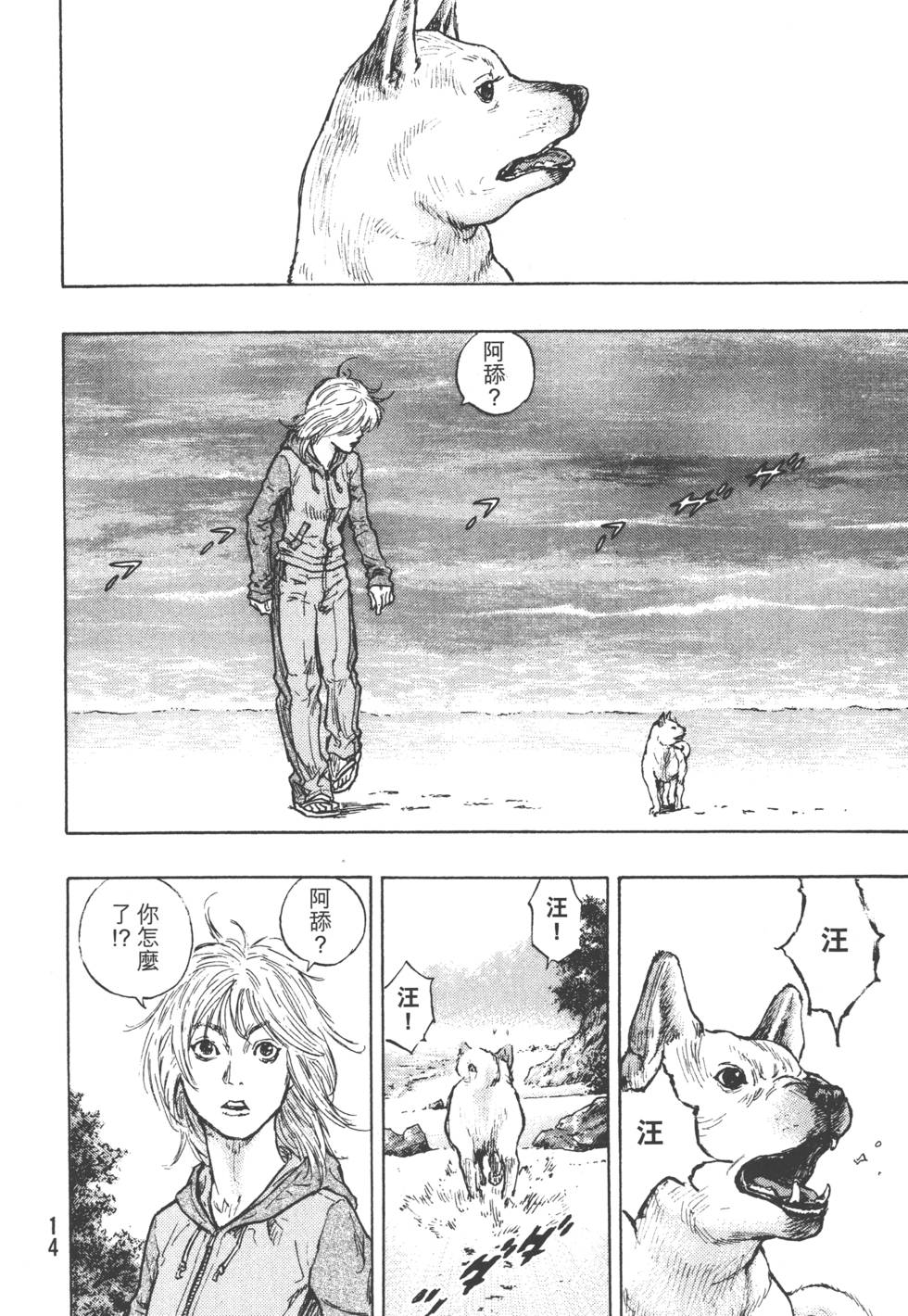 第13页
