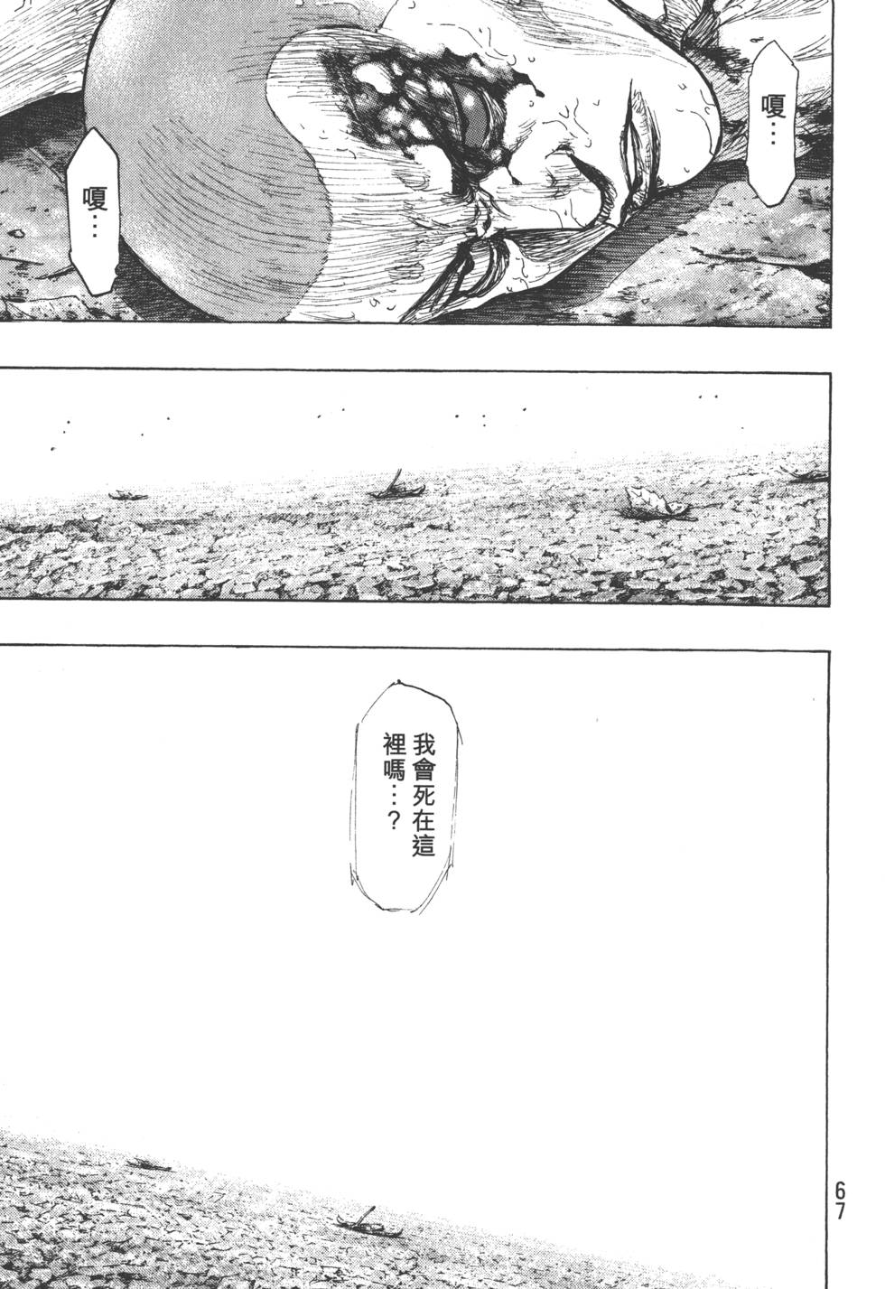 第67页