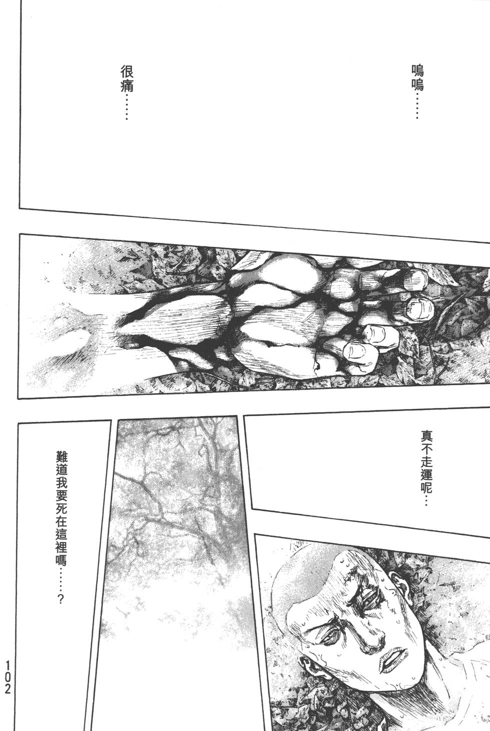 第102页