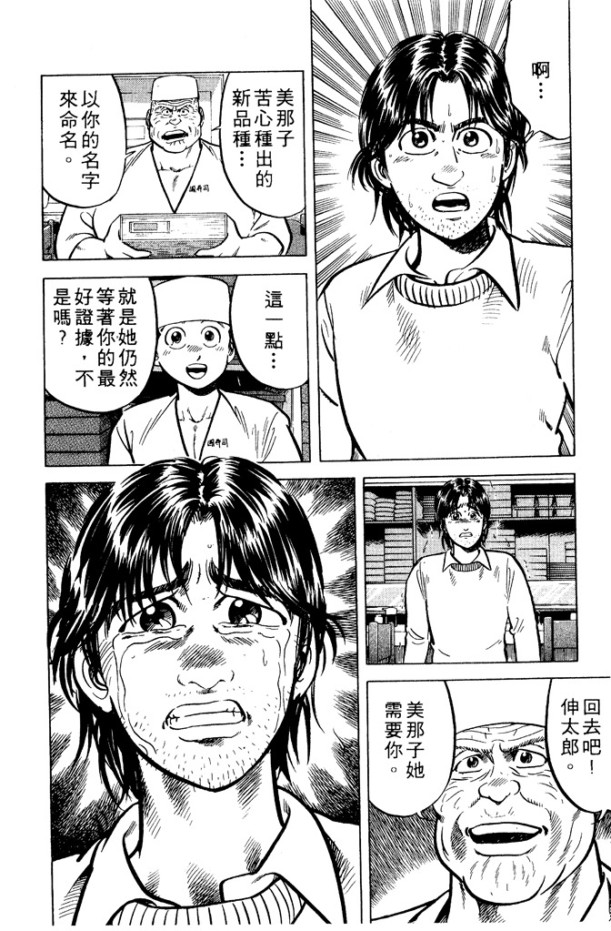 第175页