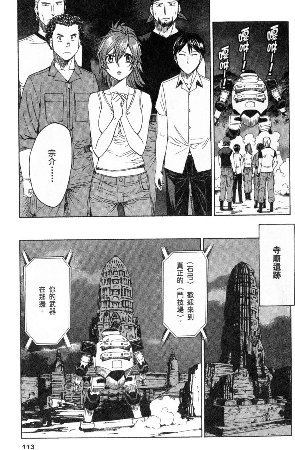第113页