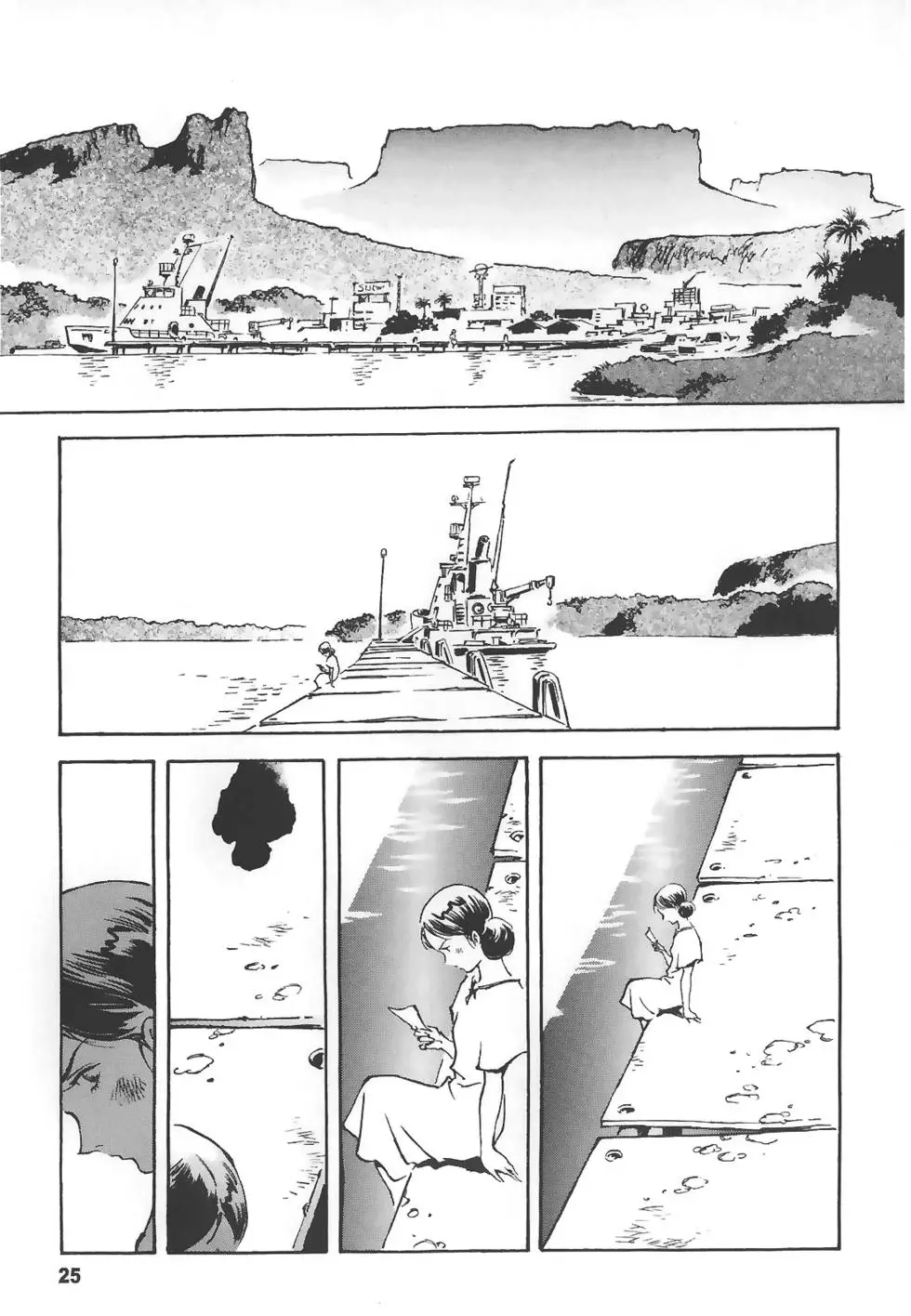 第25页