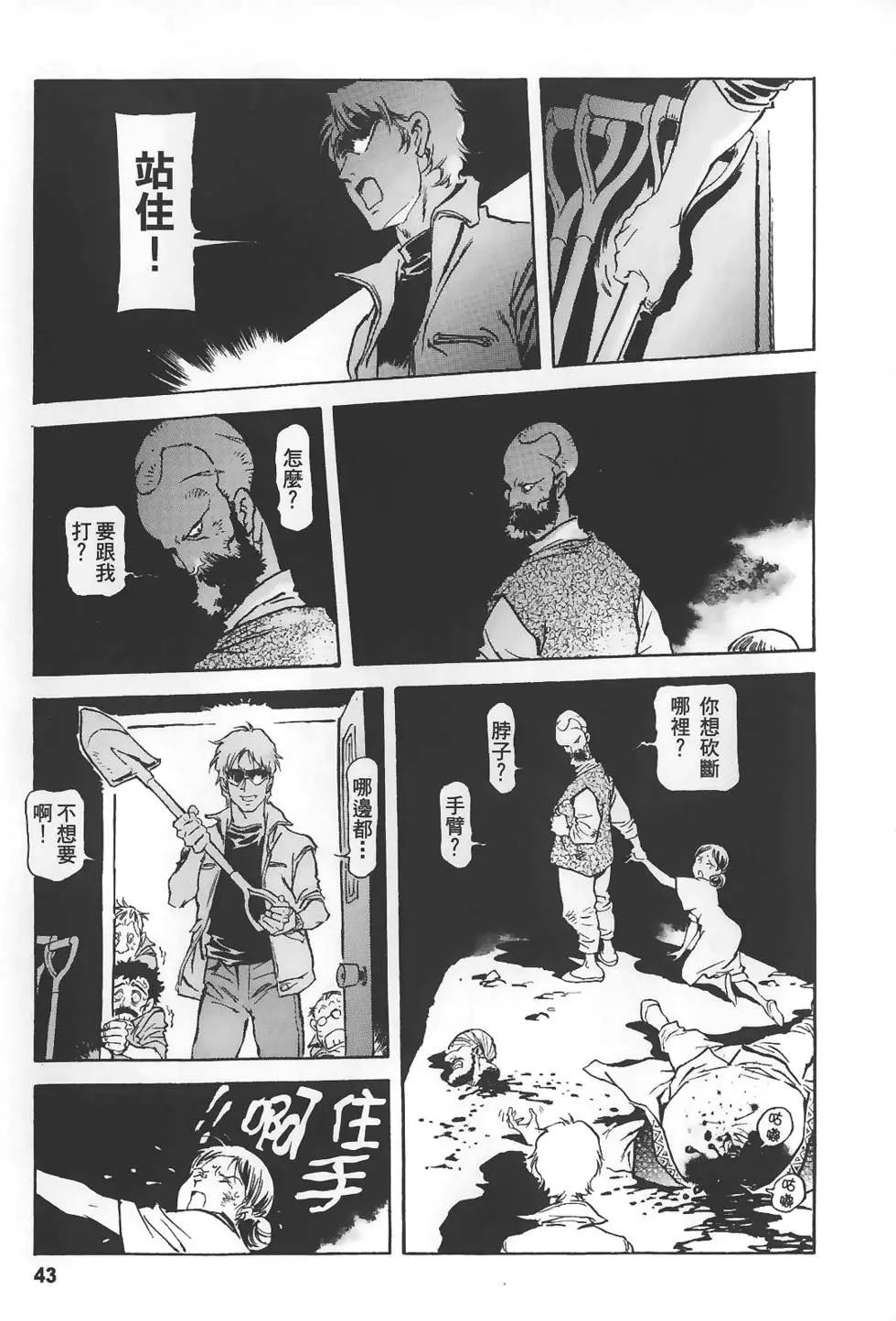 第43页