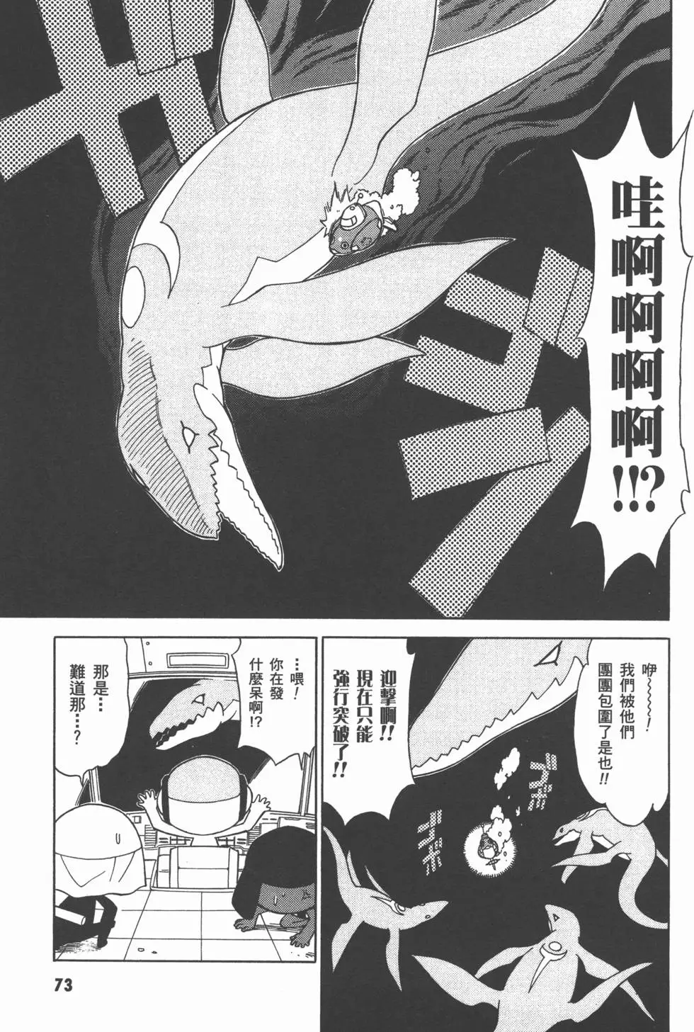第73页