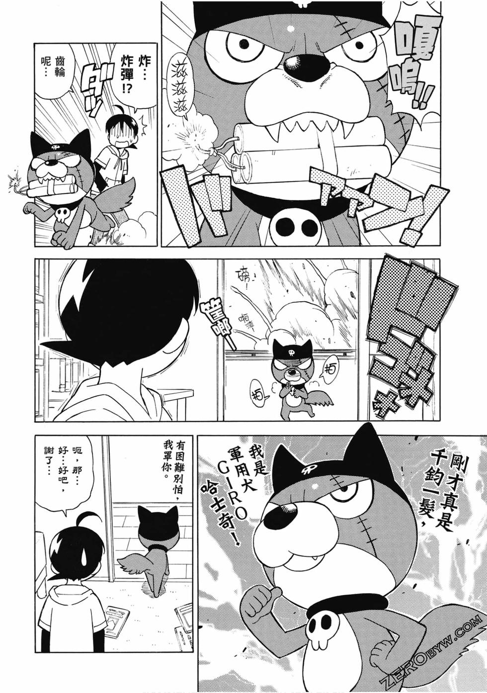 第12页