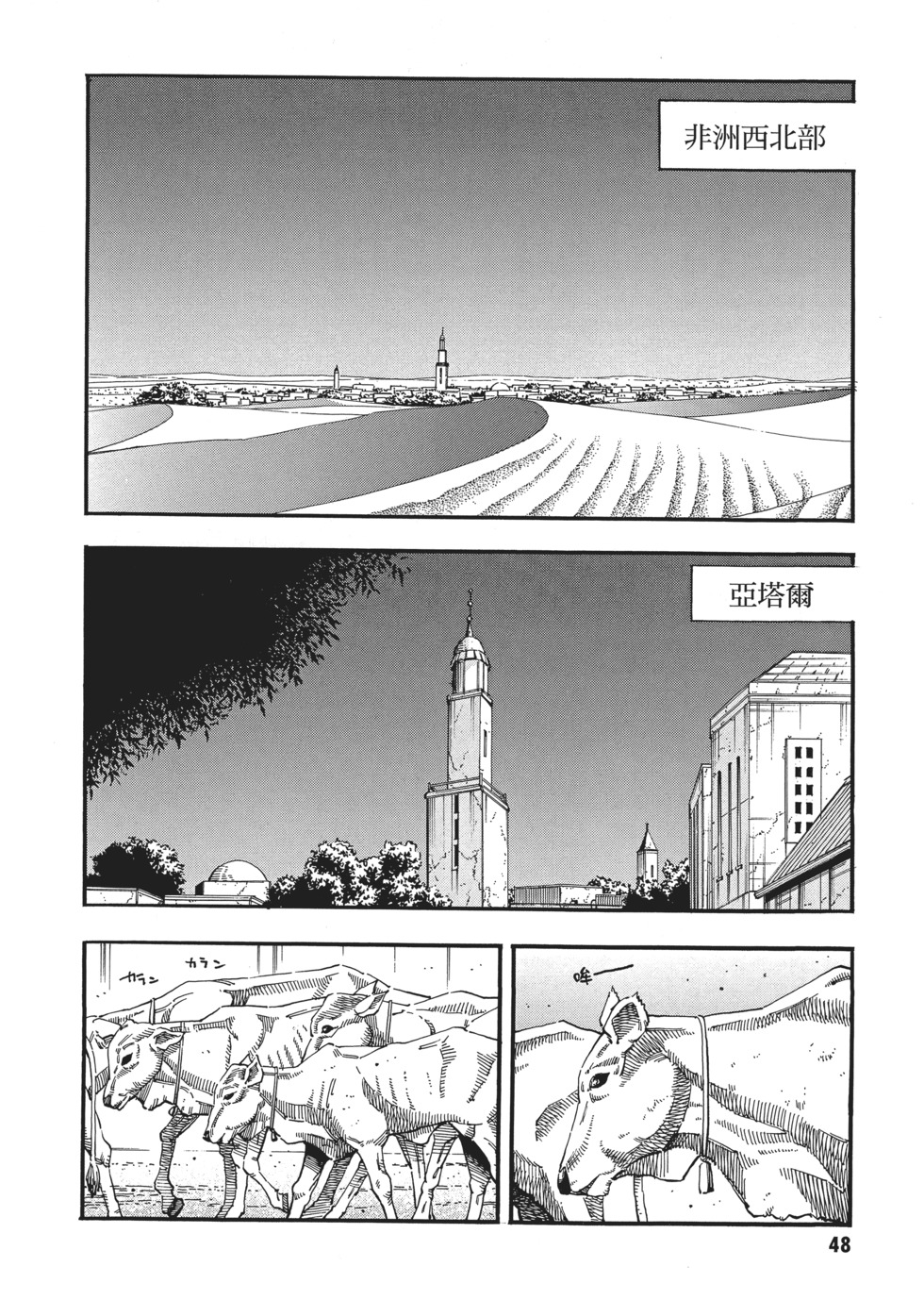 第48页