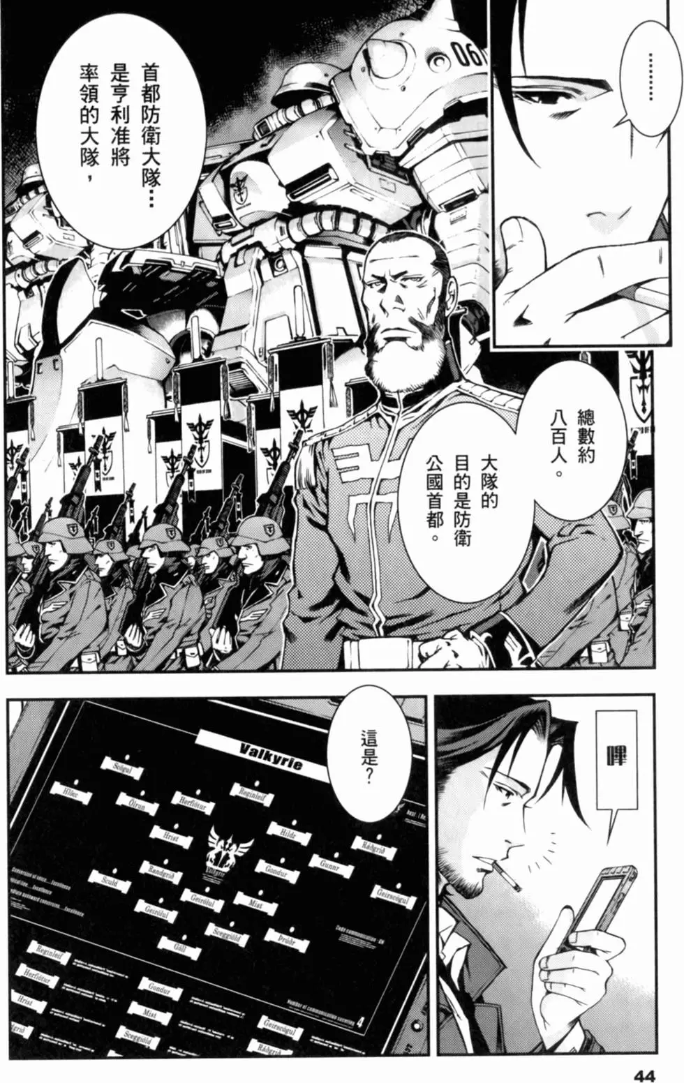 第43页